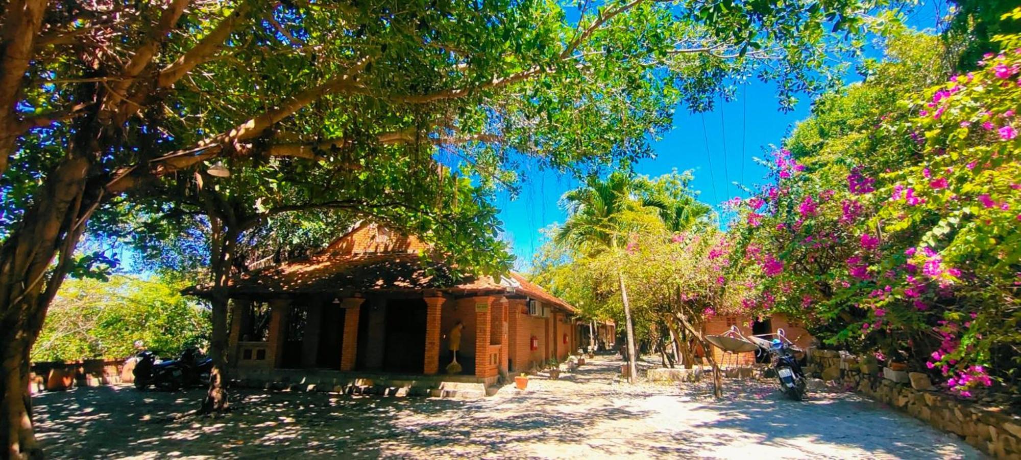 Wild Beach Boutique Resort Ninh Phuoc ภายนอก รูปภาพ