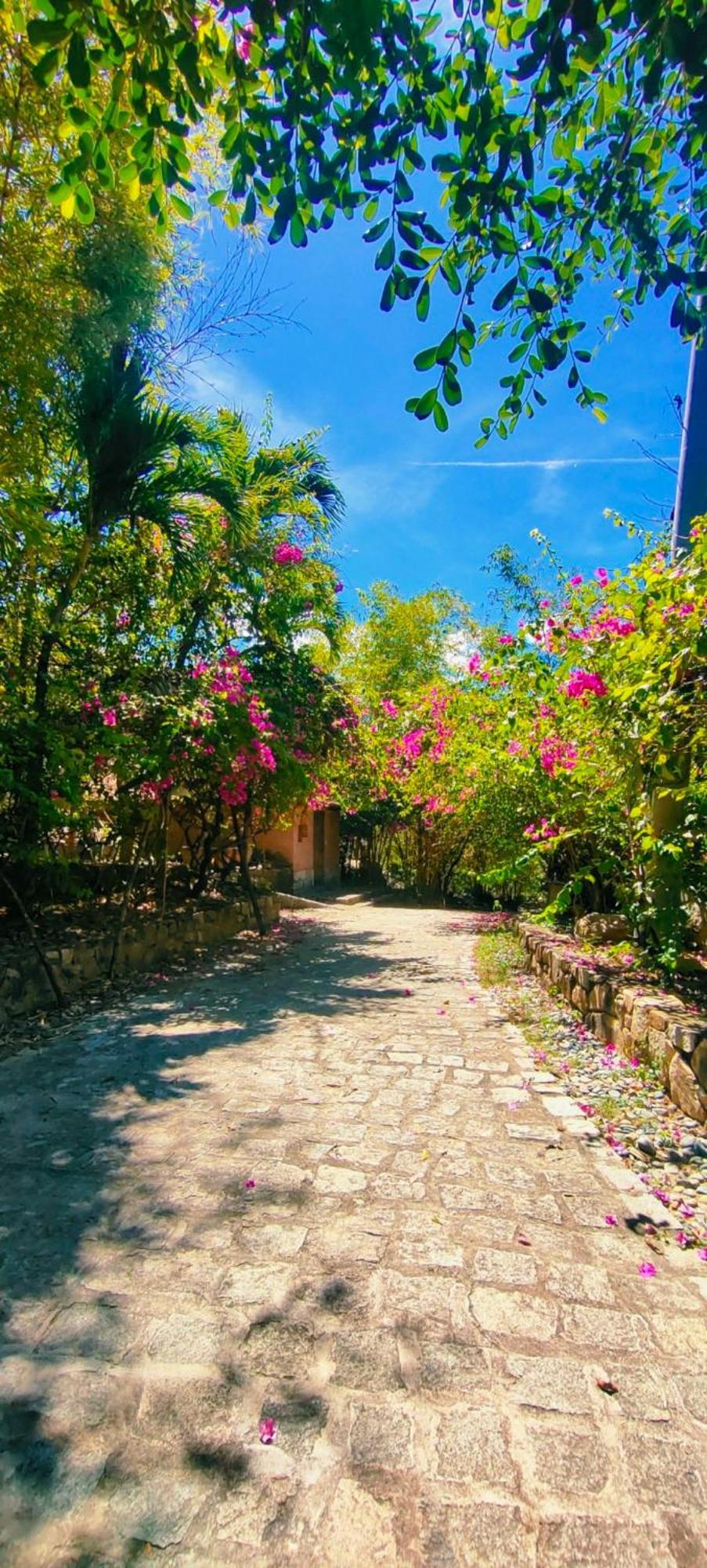 Wild Beach Boutique Resort Ninh Phuoc ภายนอก รูปภาพ