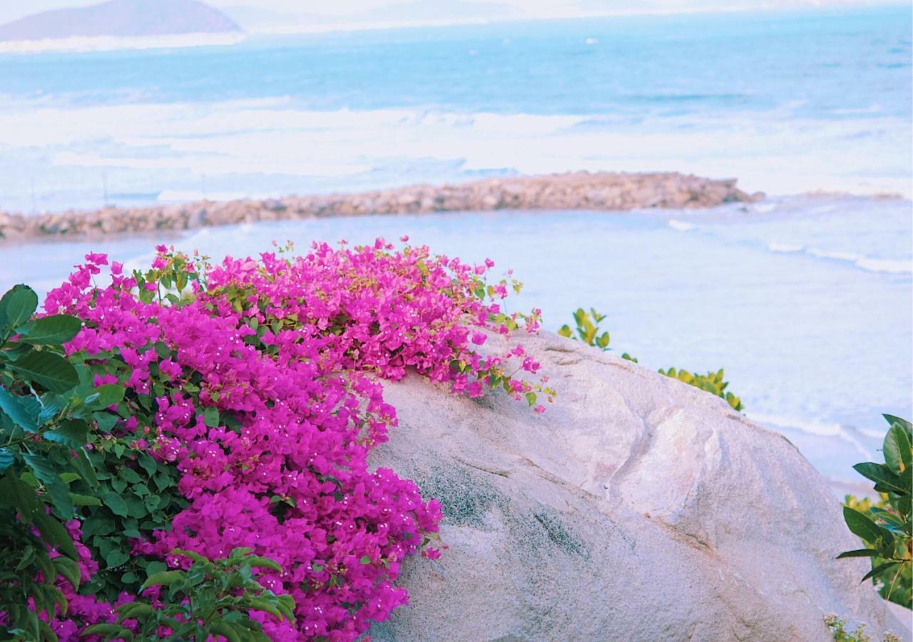 Wild Beach Boutique Resort Ninh Phuoc ภายนอก รูปภาพ